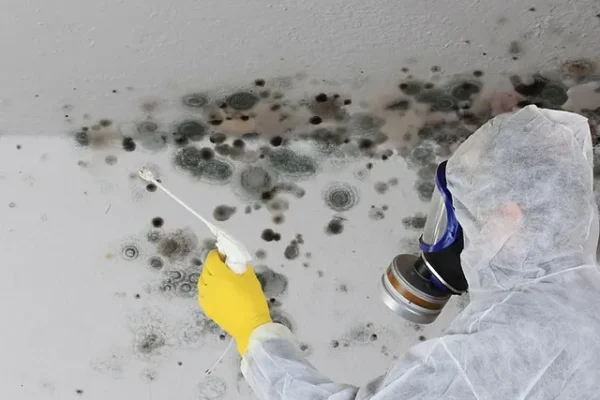 Mold