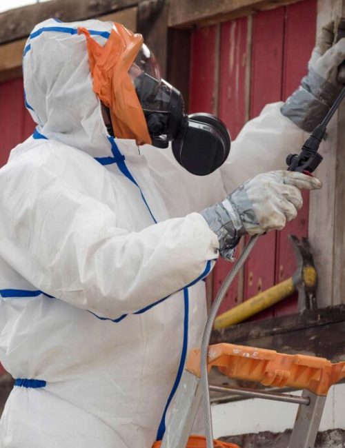 asbestos-removal-1024x683